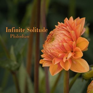 Infinite Solitude