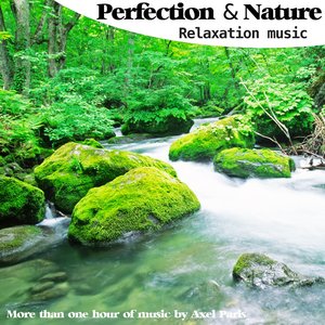 Perfection and Nature