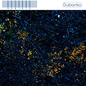 Rebirth - Single