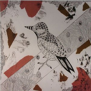 Birds In My Home