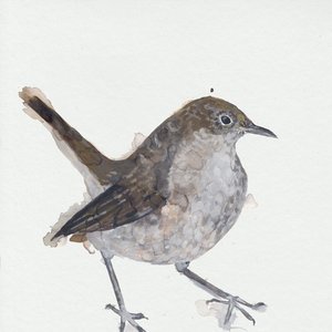 Nightingale Wake Up Calls - Single