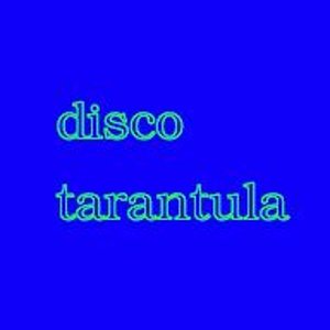 Avatar for Disco Tarantula