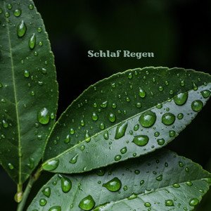 Schlaf Regen