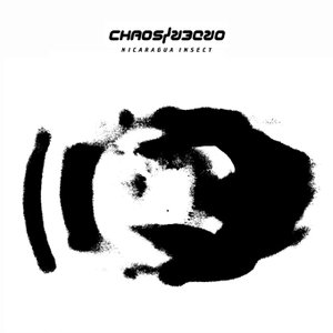 Nicaragua Insect