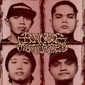 Range Of Mutilated 的头像