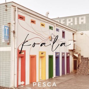 Pesca 的头像