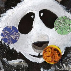 “Cogumelo Panda”的封面