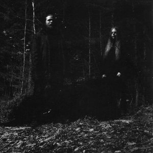 Woods of Infinity 的头像