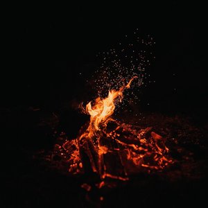 Avatar for embers collective.