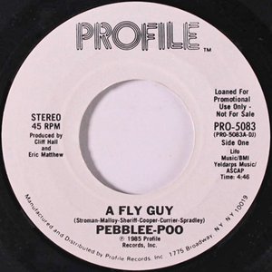 A Fly Guy