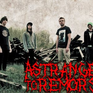 A Stranger To Remorse 的头像