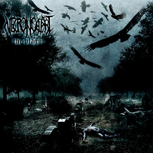 https://lastfm.freetls.fastly.net/i/u/300x300/d327a6e3c2f1eb4f11a3cb2835352a78.png