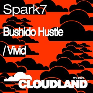 Bushido Hustle / Vivid