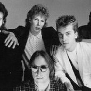 Giraffe photo provided by Last.fm