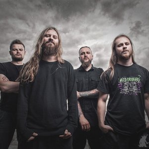 Decapitated 的头像