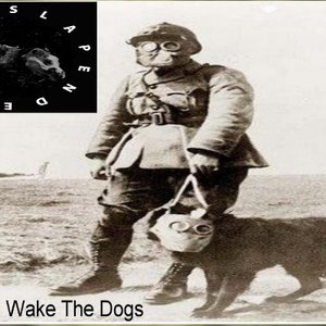 Don't Wake The Dogs