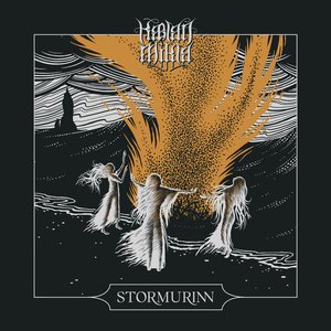 Stormurinn - Single