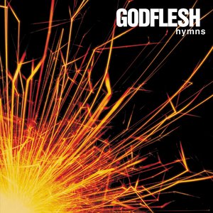 Доклад: Godflesh