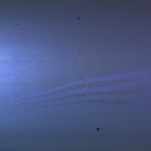 Šviesa Mėnulio - Single