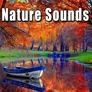 Nature Sounds