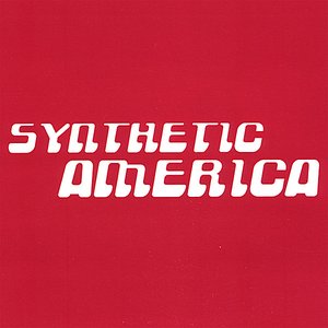 Image for 'Synthetic America'