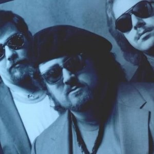 Stevie & The Saints 的头像