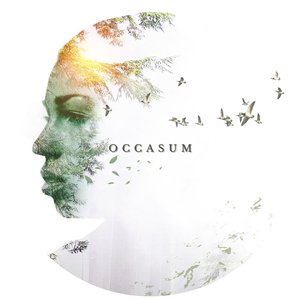 Occasum 的头像