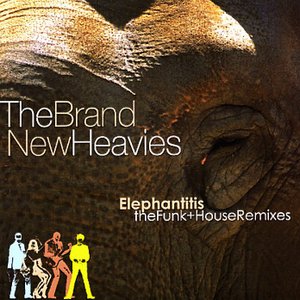 Elephantitis: The Funk And House Remixes