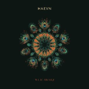 Wide Awake (Deluxe)