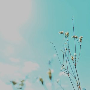 Suisen 的头像