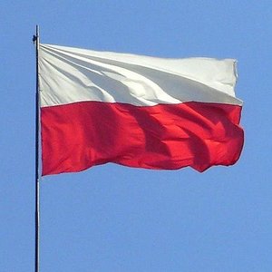 Moja Polska - CEO 的头像