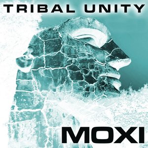 Tribal Unity Vol 13