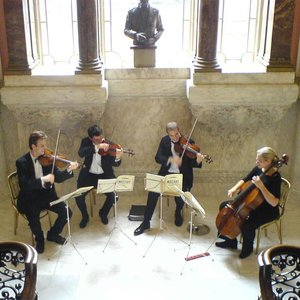 soho strings 的头像