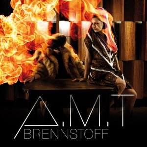 Brennstoff