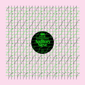 Auditory Sieve
