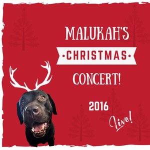 Malukah's Christmas Concert Live!