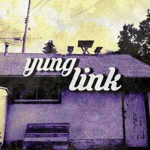 YUNGLINK