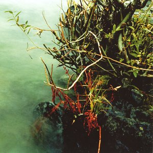 Ceremonies of Memory I & II