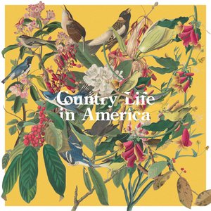 Country Life in America