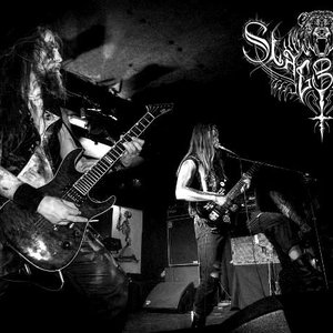 Slagbjorn 的头像