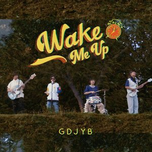 Wake Me Up