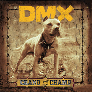DMX - dmx Lyrics - Zortam Music