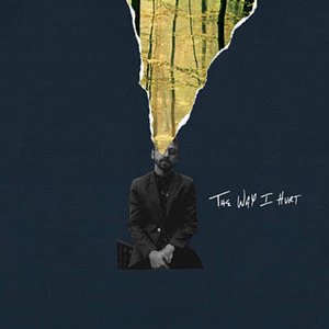 The Way I Hurt - Single