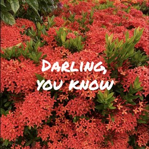 Darling, you know