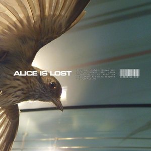 Avatar for Alice Is Lost