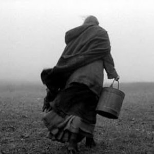 Turin Horse