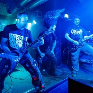 Avatar for Among Rats