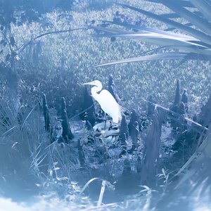 Youth and Beuaty - EP