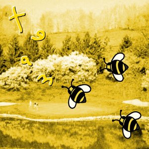 Team - Single