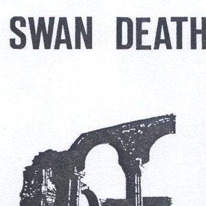 Swan Death